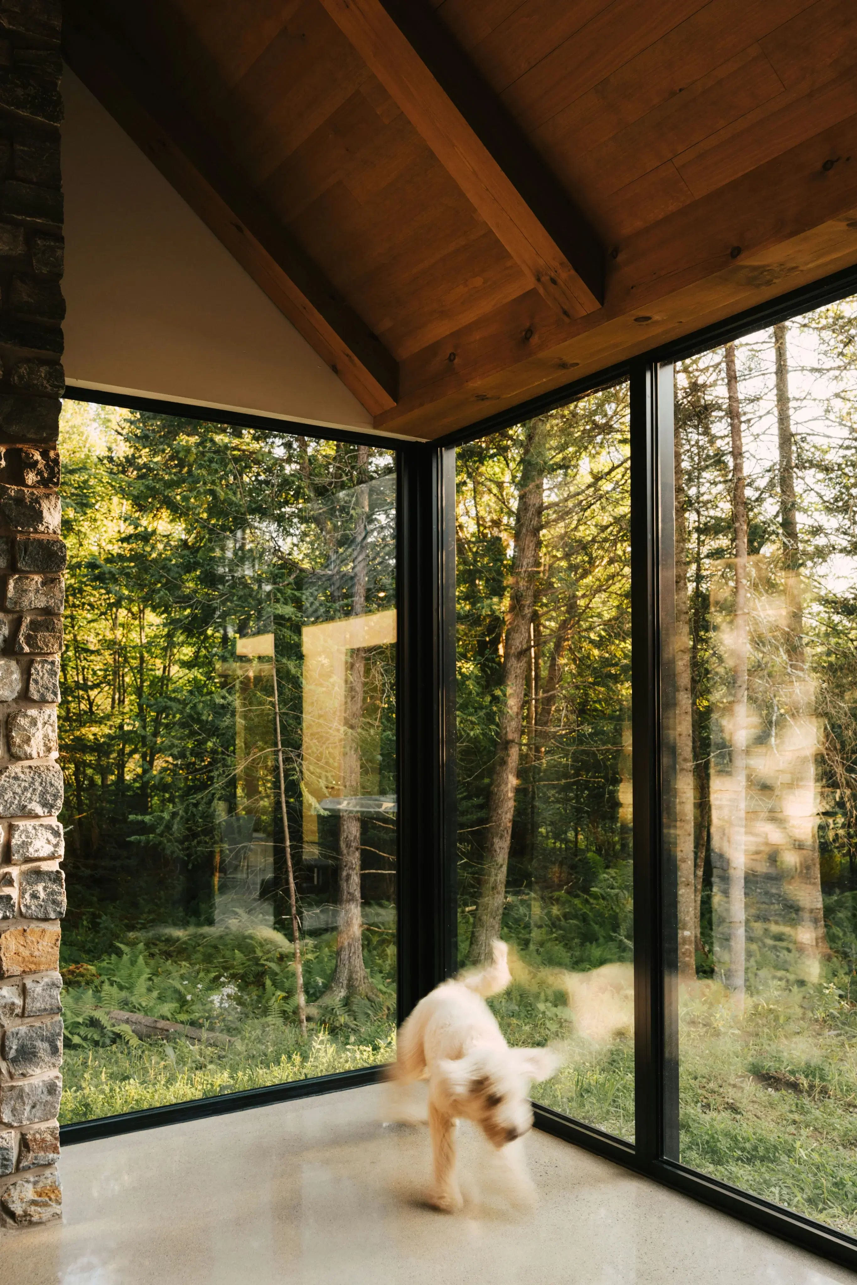 Modern cabin surrounded by forest